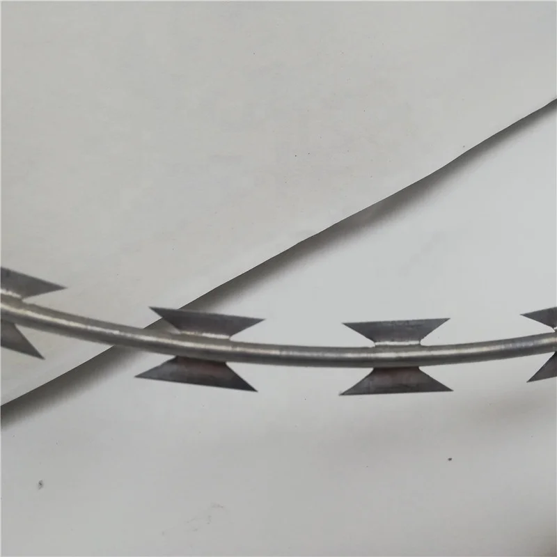 Оцинкованная колючая проволока диаметром 500 мм x 10 кг используется на верхушке забора