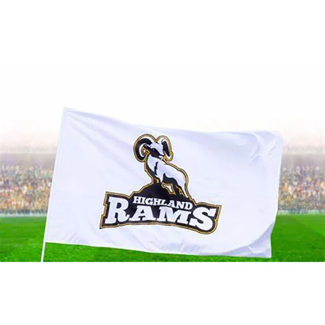 Factory Wholesale Custom Printing Cheerleading Gym Reward Spirit Flag