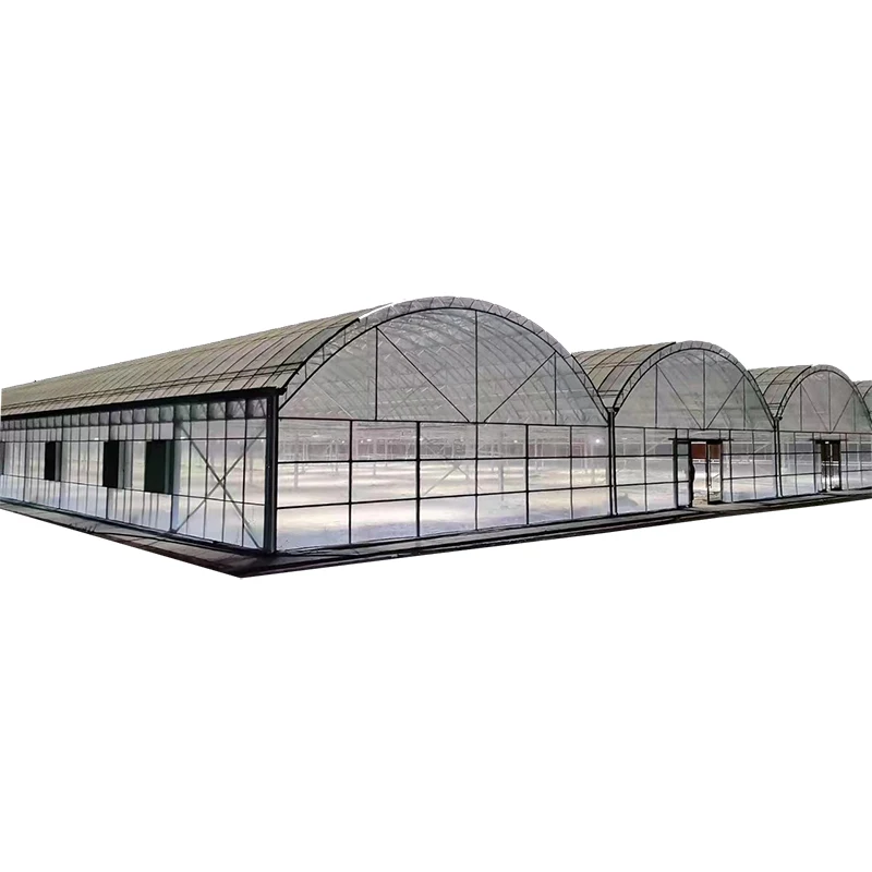 Best Selling Economical Multi-Span Greenhouse with greenhouse heating systems for winter