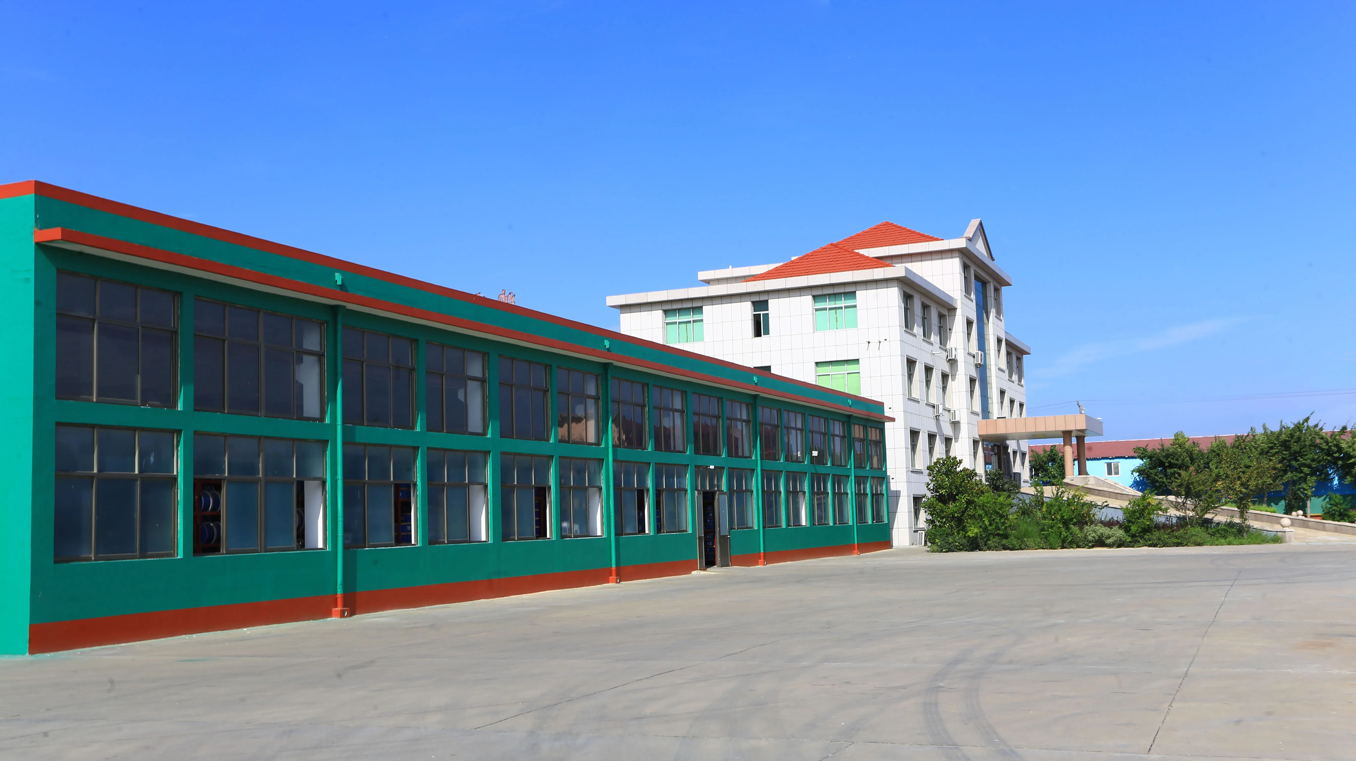 flexible card clothing raising fillet from China