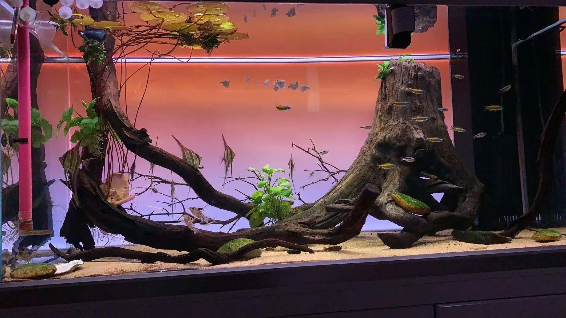 Fish Tank Backlight Aquarium Decoration Lighting Panel