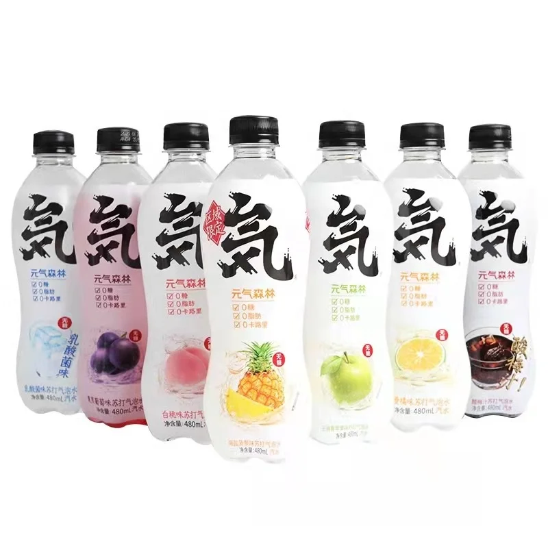 480ml Fruity Flavor Zero Sugar Zero Fat Soda Sparkling Water Soft Drinks Carbonated Exotic Drinks in Boxes