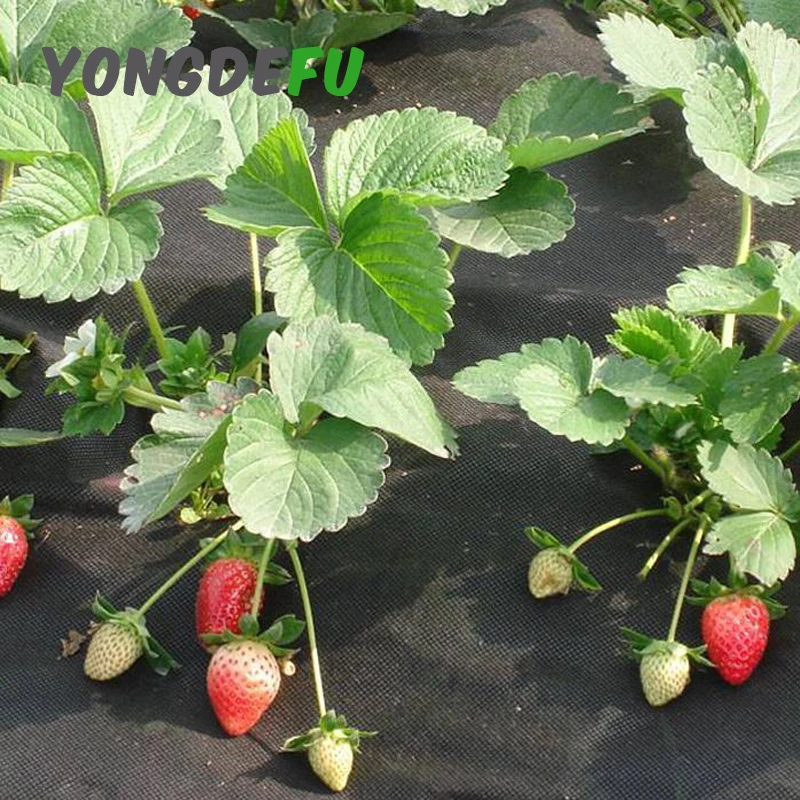 garden supplies polypropylene nonwoven spunbonded fabric mat biodegradable plant covers freeze protective weed control mulching