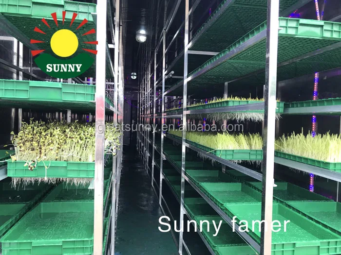
high-tech fully automatic hydroponic fodder systems/for grass seeds sprouting/for stock feeding 