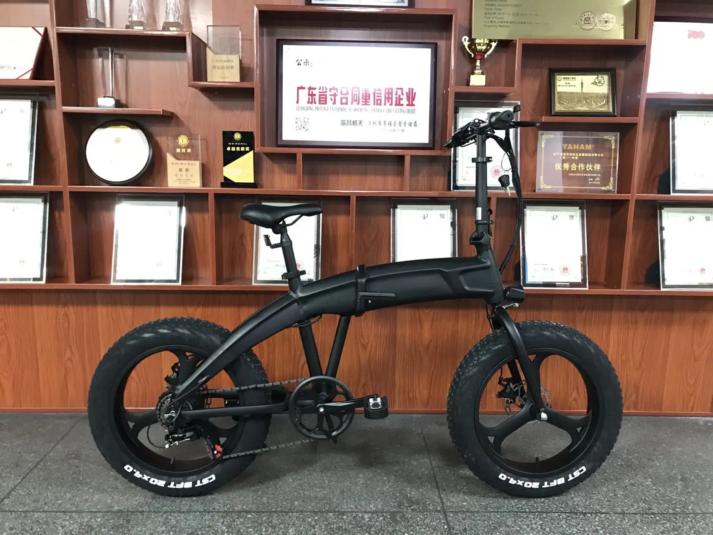 Bicyclette Good quality Cheap Price Men and Woman Snow Wheel Electric Bicycle