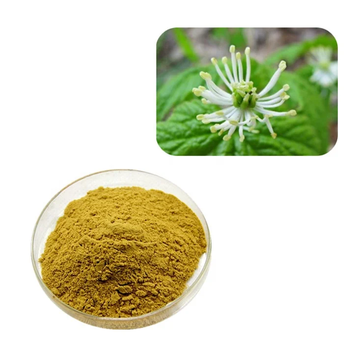 Goldenseal Root Extract Powder with Good Customer Feedback