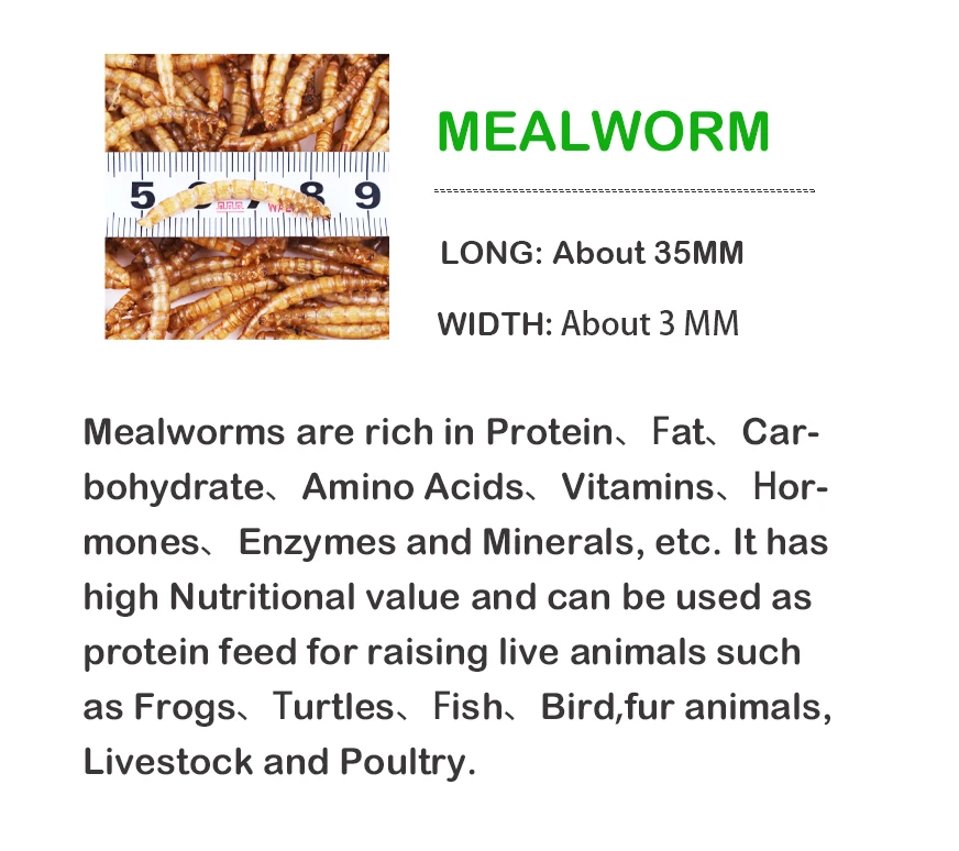 
Tian En china factory black soldier fly pet foods fish cats bird food feed dried mealworm 