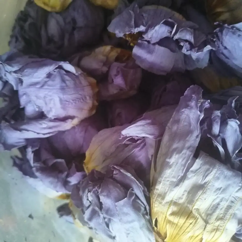
Fragrant bake Dried blue lotus tea Nymphaea calliantha Conard flowers 