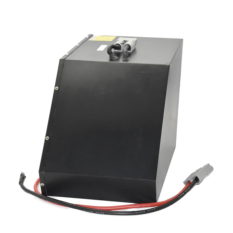 Литий-ионная батарея для электроскутера WELLGO OEM 36 в 48 60 72 20 Ач 30 40