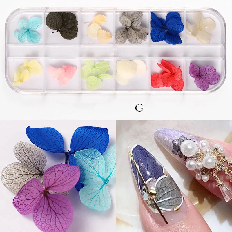 China Factory 12pcs/Box Nail Dried Flowers Multi Colors Natural Pressed Dry Flower Decoration Mini Nail Art Dried Flower