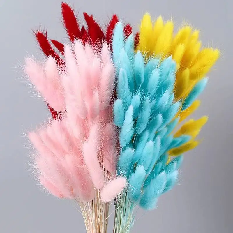 PPL30 Hare Tail Grass Hot Sell a Grade Real Natural Dried Flowers Bunny tails Lagurus Ovatus for Decoration