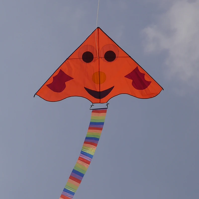 Plastic Kite/PE Kite/traditionla kites