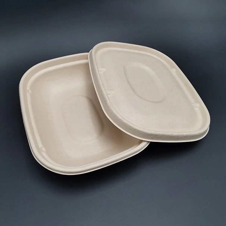 Customizable biodegradable bagasse plate food container
