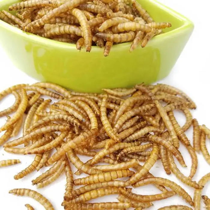 Quality Protein Dried mealworms Animal Feed Best Grade Fish Dog Horse Cattle Chicken Reptile Pig Protein dried worm meal
