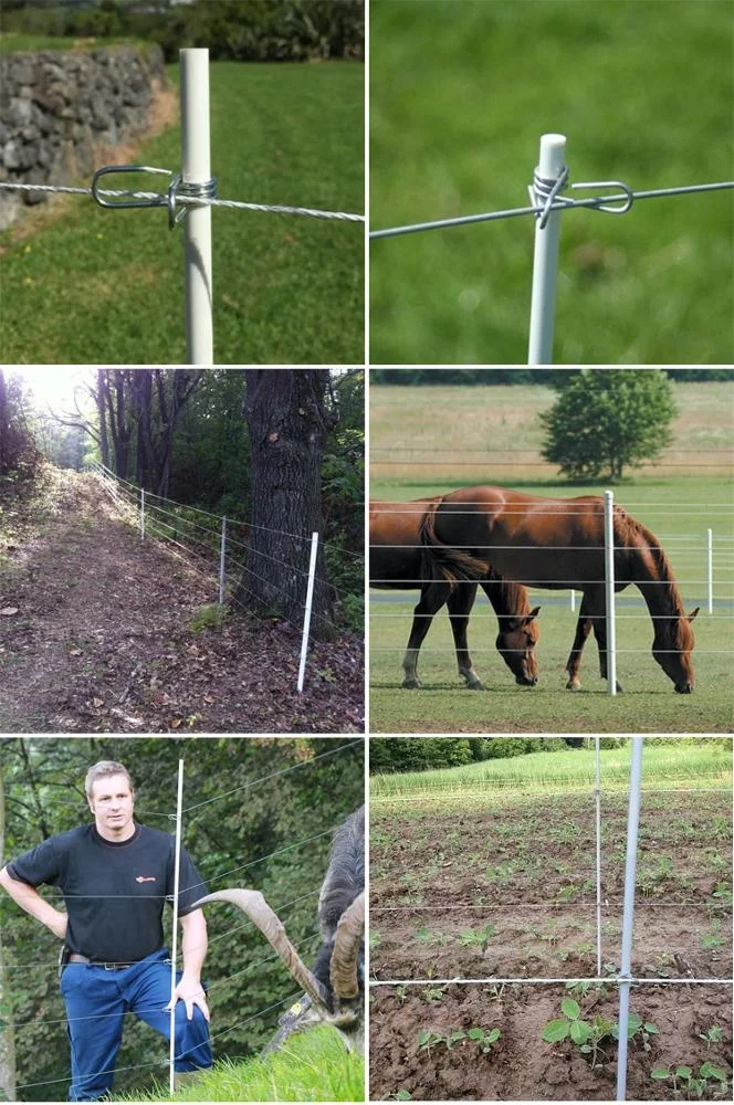 Fiberglass Rod Post for Electric Fence