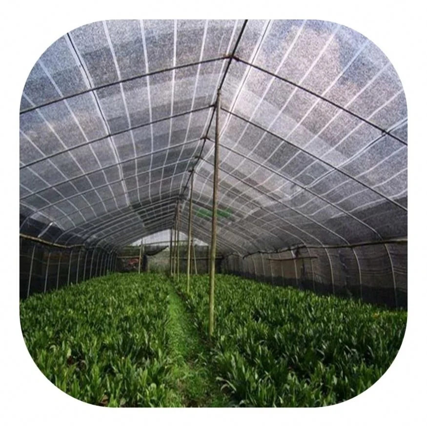 Professional Shade Cloth Shade Net 30% With Low Price 2X10M Sun Shade Net
