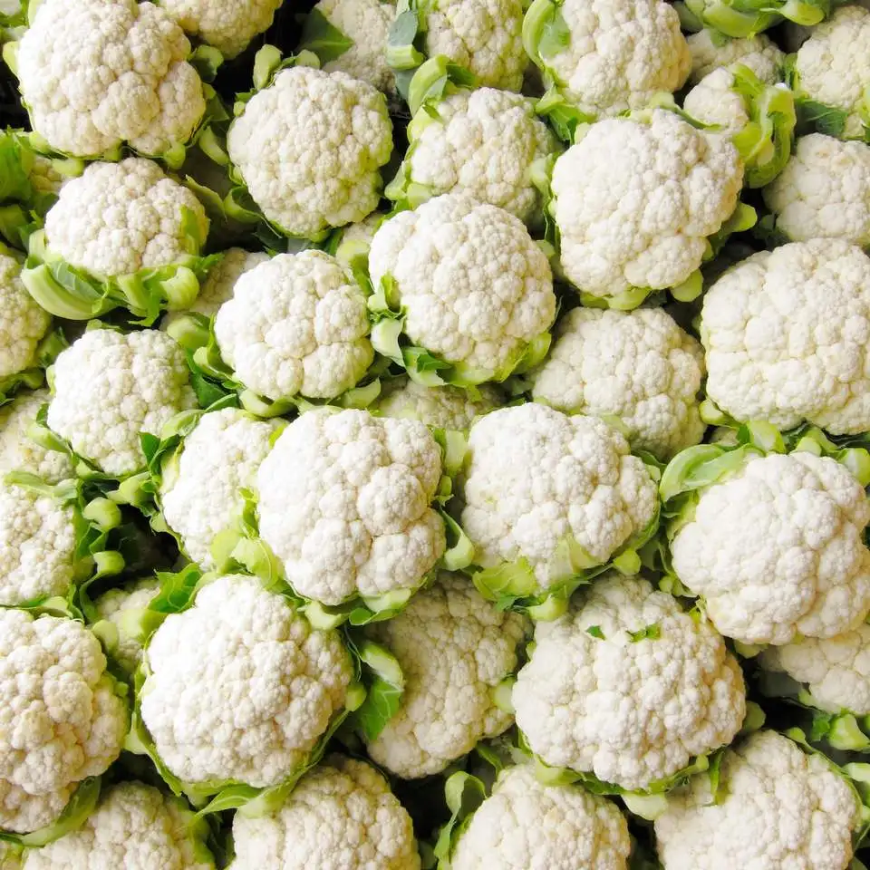 Fresh Vegetable Cauliflower from China high quality and competitive price cauliflower