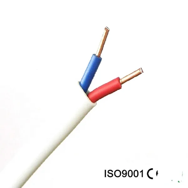 electrical wires BV/BVR/BVV/BVVB/RVV Flat TPS Cable Twin and Earth Electric Wire 1MM 1.5MM 2.5MM 4MM 6MM 10MM Earth Cable