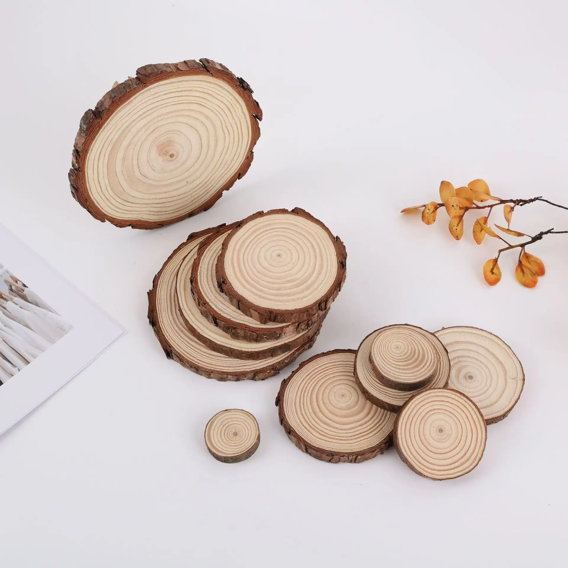 Wisdom Unfinished Natural Wood Slices Craft Wood kit Circles Crafts Christmas Ornaments DIY Crafts with Bark for Crafts
