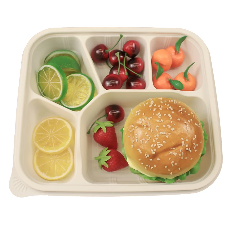 CPla Food Container Manufacturer/Biodegradable 5 Compartment Food Container Disposable