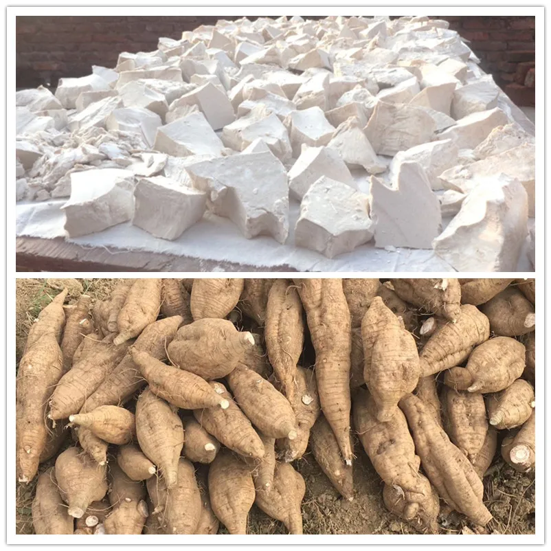Оптовая продажа Pueraria Tuberosa китайский Kudzu Vidharikand белый бидхариканд сушеные сырые травы растительный экстракт травяной продукт
