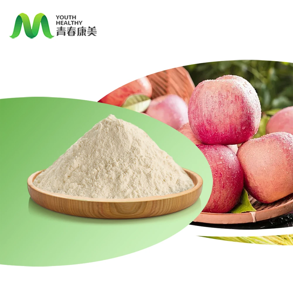Top Quality Wholesale Pure EU Organic Dried Apple Cider vinegar powder