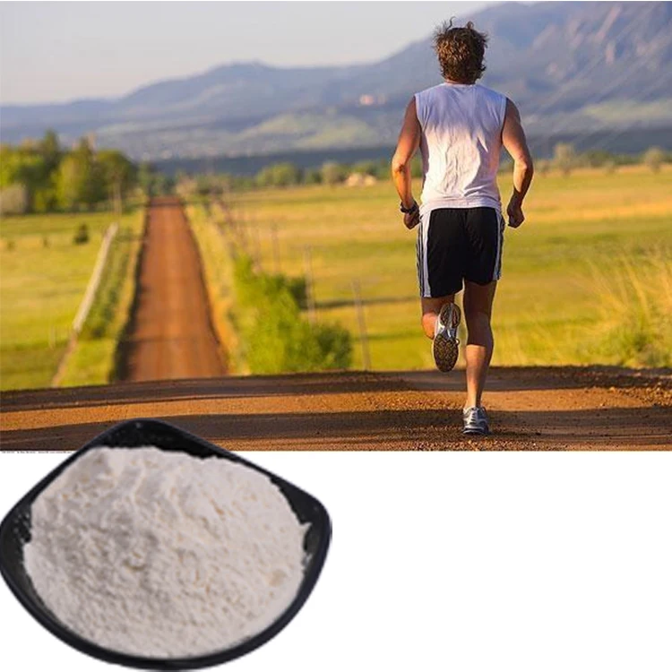 Nutritional Supplement Chondroitin Sulfate 90% Min Chondroitin Sulfate Sodium Marine 90%