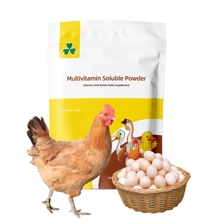 poultry multivitamin supplement growth regulator chicken premix
