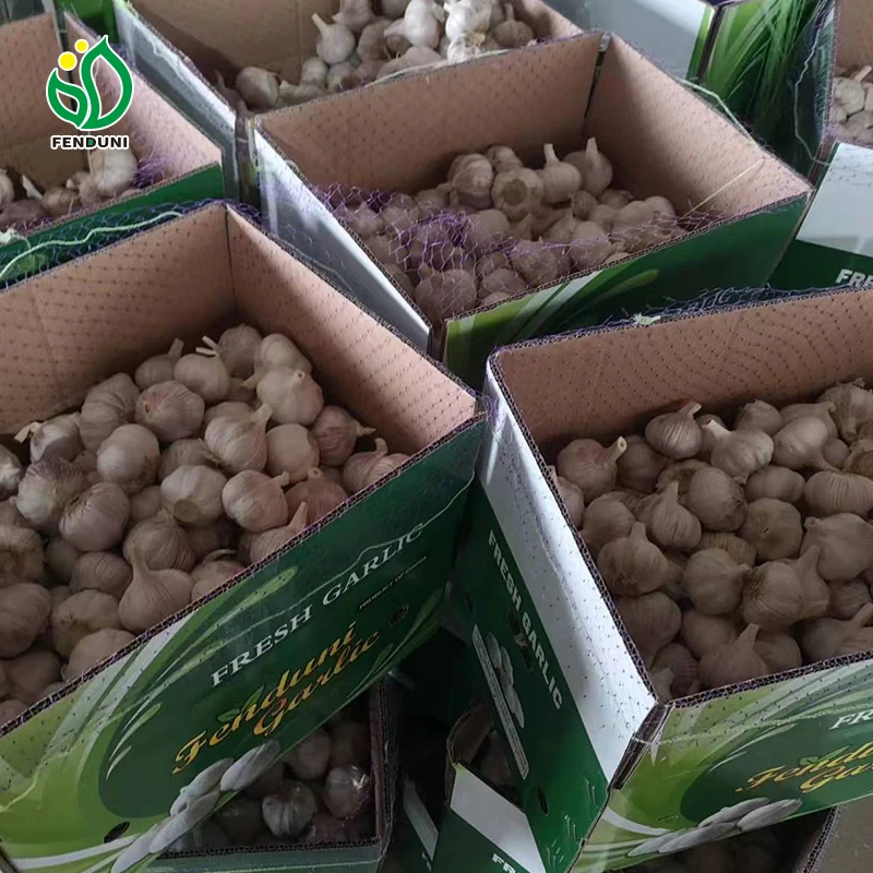New Crop 2024 Fresh Garlic Export To Kenya Normal White Garlic Chinese Garlic with 10kg Carton