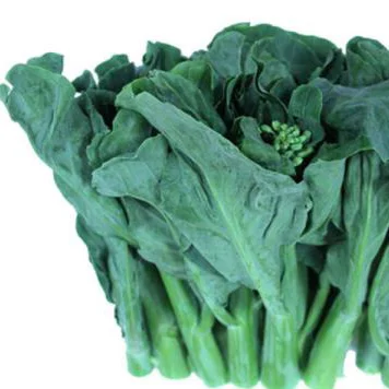 Large wholesale of fresh Kailan