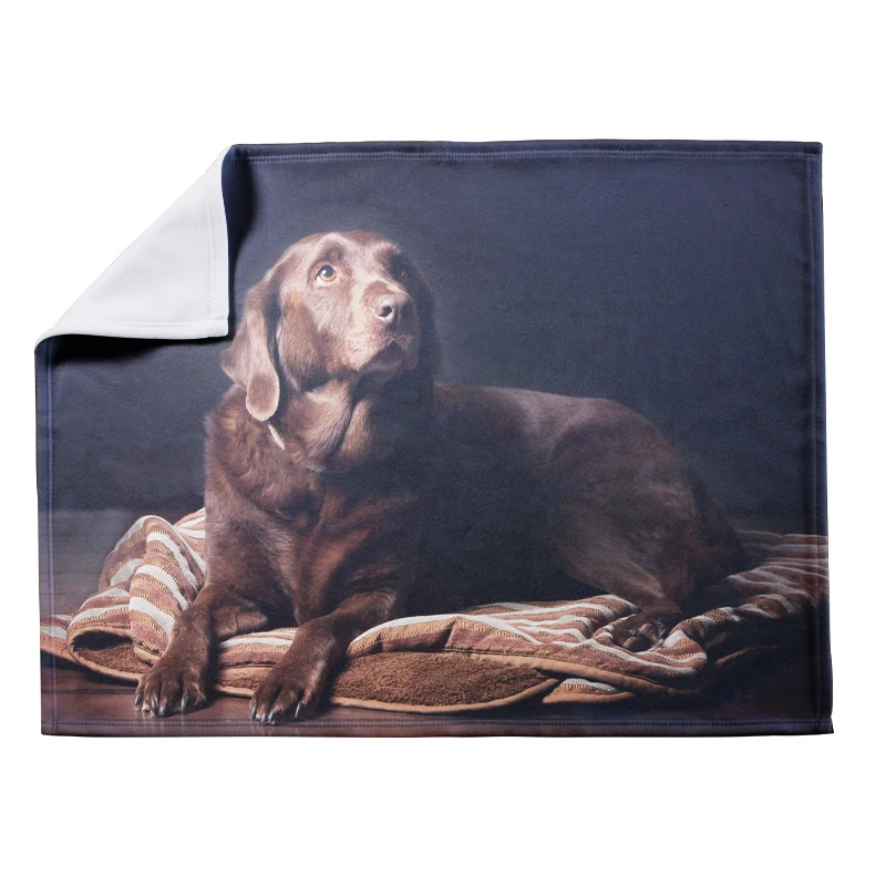 Custom polar fleece photo blanket sublimation Arctic blank blanket with print