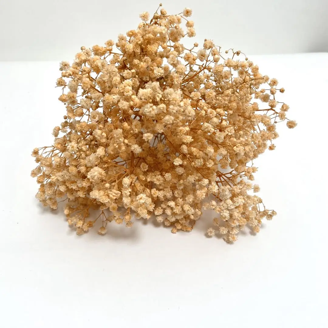 
Wholesale Cheap Dried Gypsophila Flower Colorful Preserved Baby Breath 