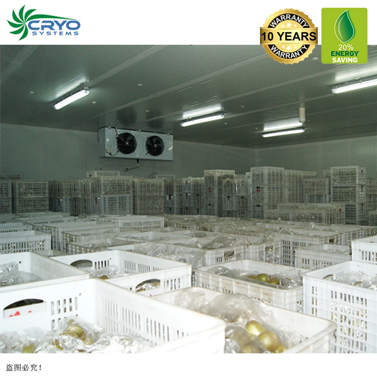 lobster live chicken frozen halal readymade coldroom foster walk in freezer food chillers for sale