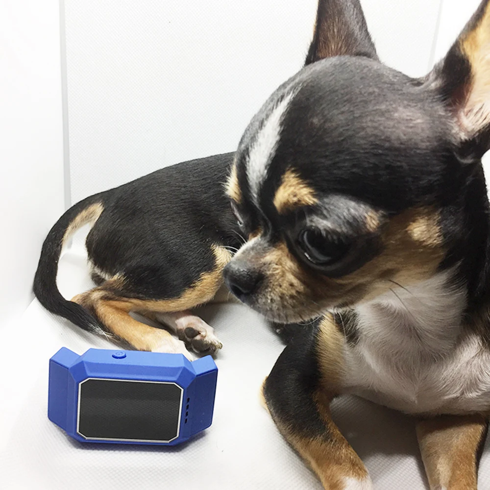 Wholesale Ip67 Waterproof Gps Dog Tracker Collar Pet Tracking Device For Pet Locator Gps Dog Cat Smart Tracker Collar