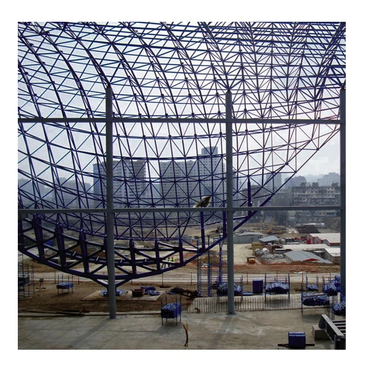 Prefabricated Special Shape Space Frame Steel Structure Building  Roofing Shed