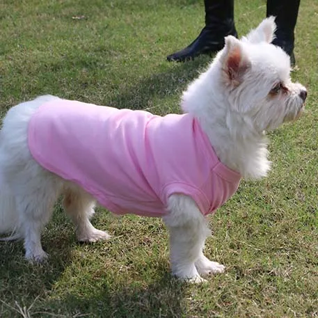 High Quality Summer Dog T-shirt Blank Dog Vest Clothes XS to L Size for Dogs Cheap Wholesale