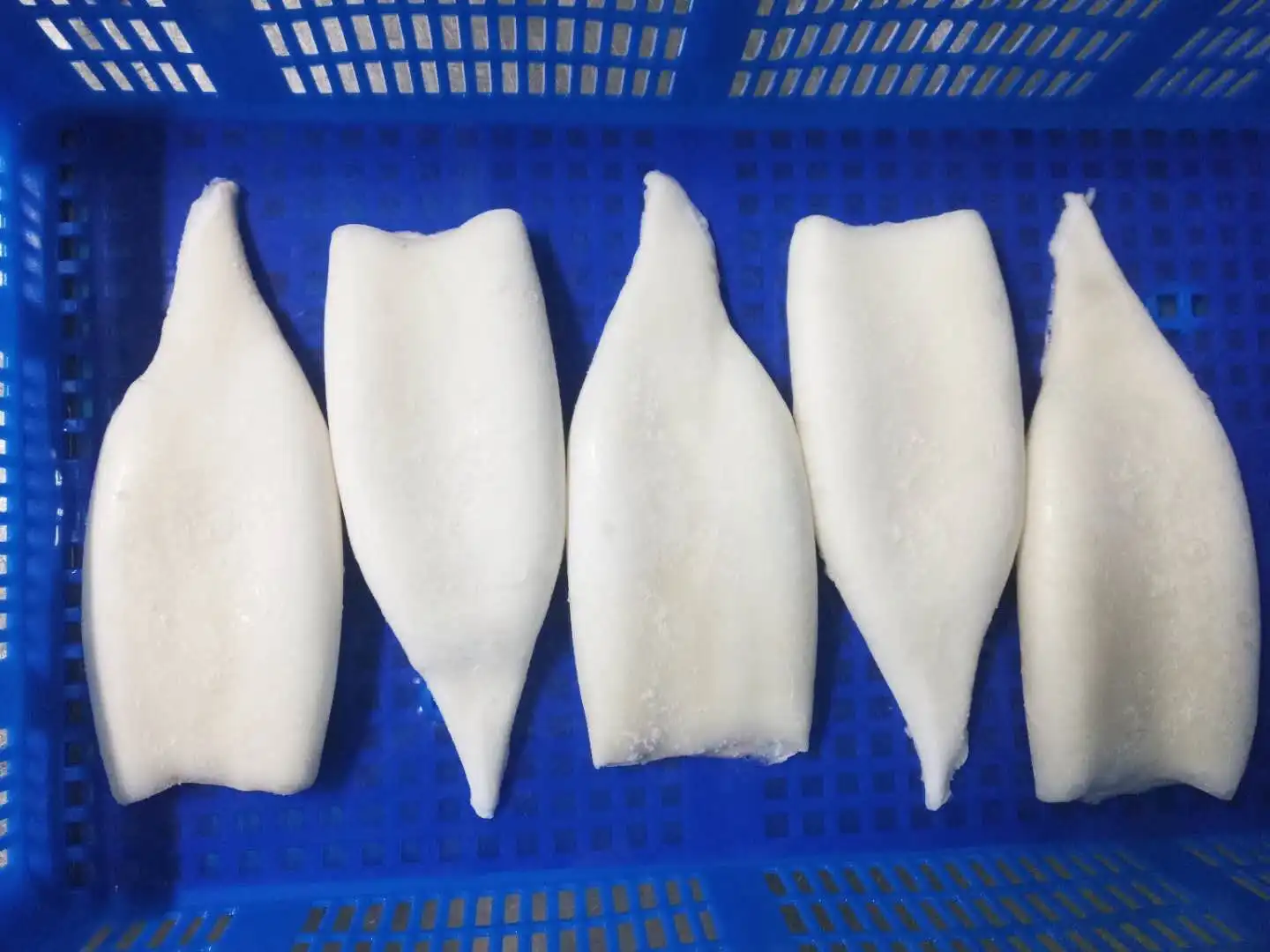 2021 Hot Sale Sea Frozen Squid Tube Giant Squid All Size