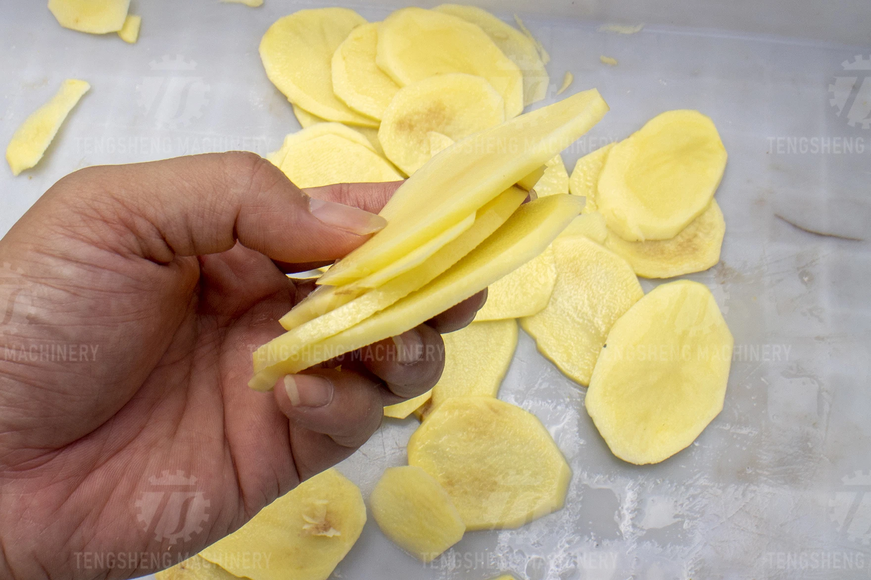 Automatic Leaf Stem Vegetable Cutting Machine Carrot Cabbage Onion Vegetable Cutter Chopper Shredding Machine