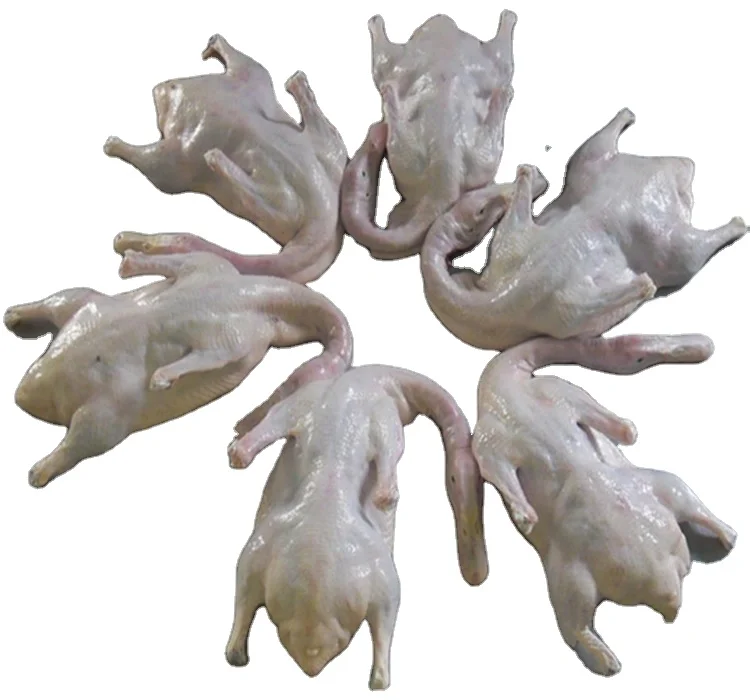 Халяльная замороженная цельная утка, мясо утки лучшего качества, пекинская утка