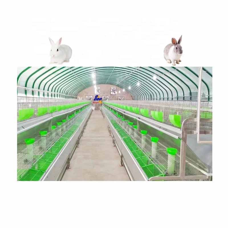 Competitive Equipment Morant Hutch Customized Size With Granular Feed Trough Installed Rabbit Cage