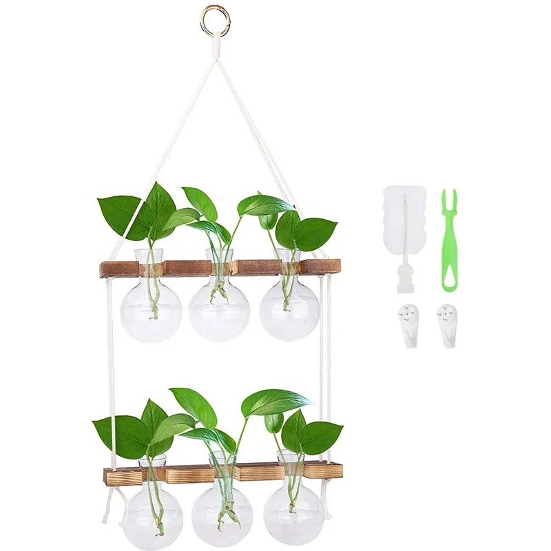 2 Tier Plant Terrarium with Wooden Stand, Wall Hanging Glass Planter Propagation Station Air Plant Bulb Vases Glass Plants Pots