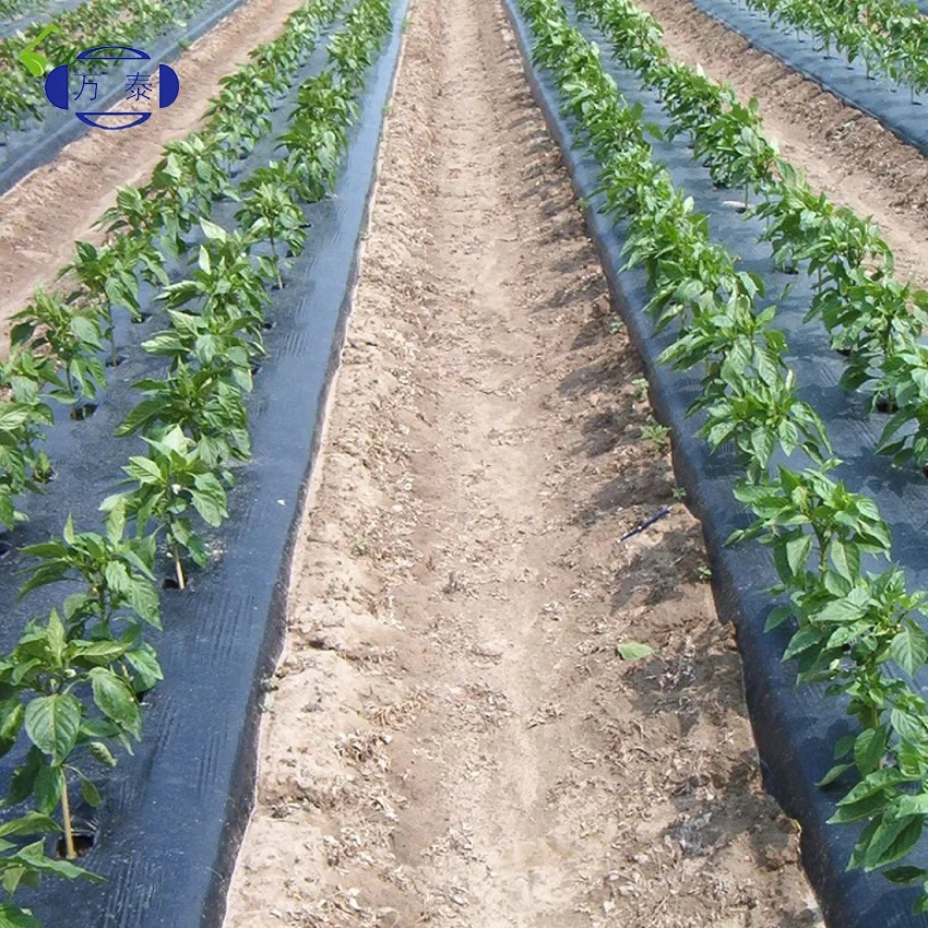 pe plastic foil protective plant cover mulch film for tomato price agriculture polyethylene film