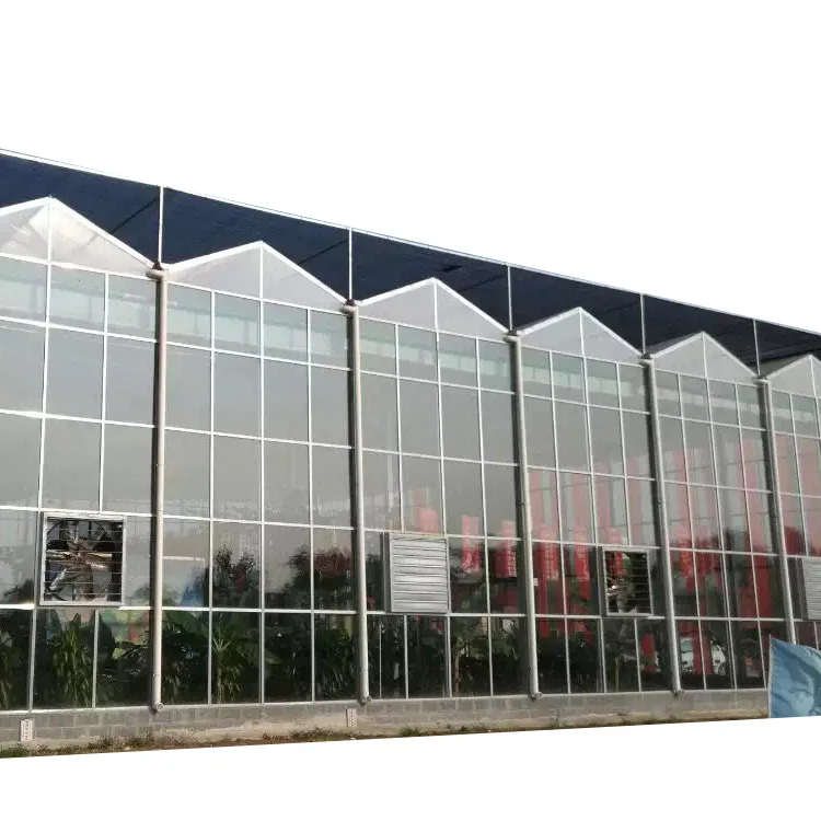 Low price agricultural greenhouse glass greenhouse and container farm