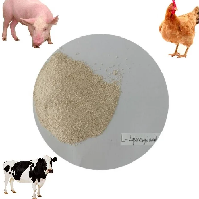 
Feed Additives Raw Materials L Lysine 25kg/ton bag L-lysine HCL 98.5% 