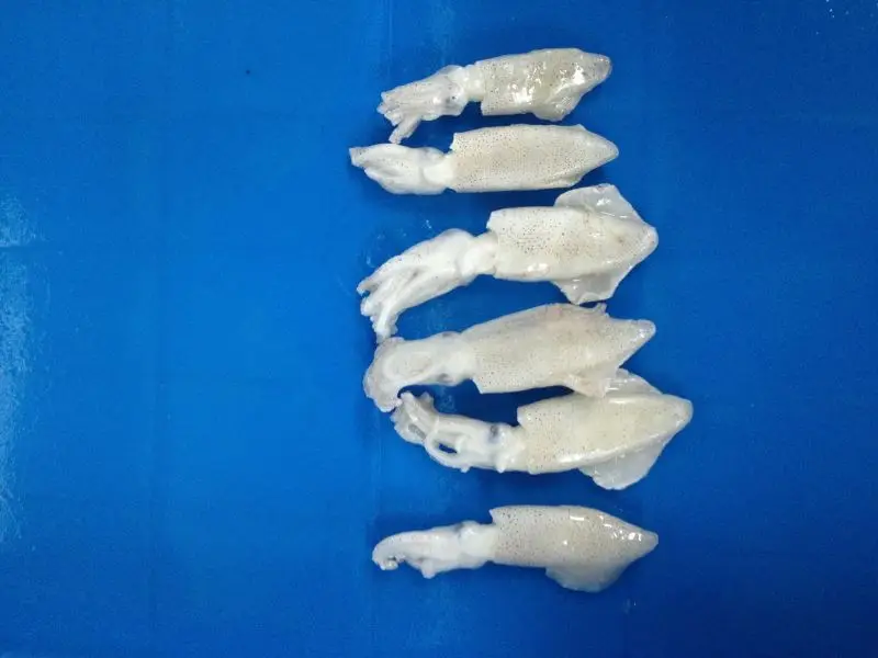 Sell High-Quality Fresh The Natural Nutrition Frozen Whole Baby Squid For Sale