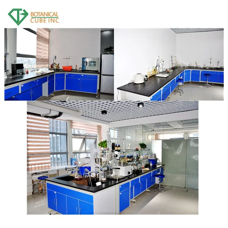 
Top Grade L-tyrosine Tyrosine Powder 60-18-4 