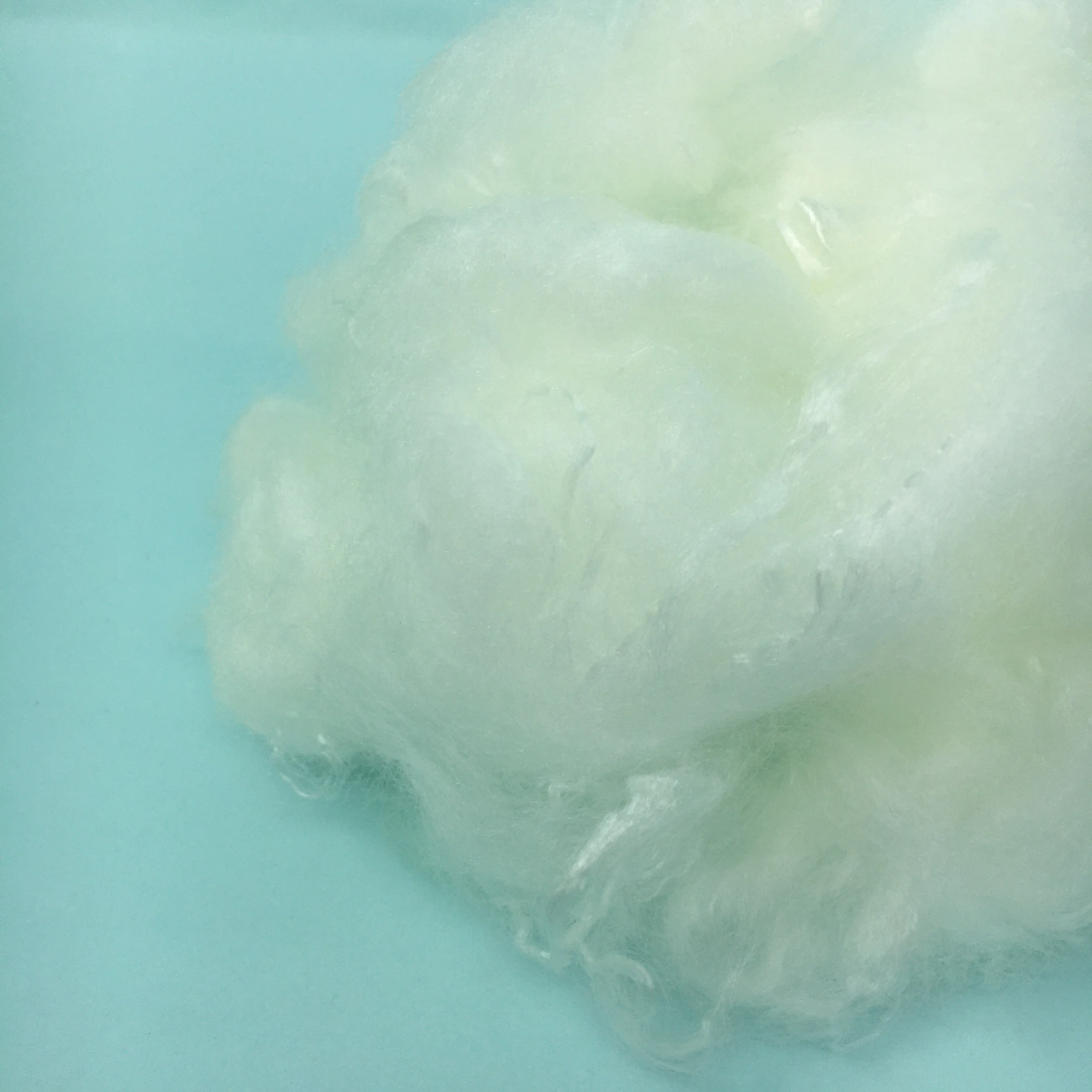 Pet flake 2D modacrylic bibre material wool like acrylic staple fiber