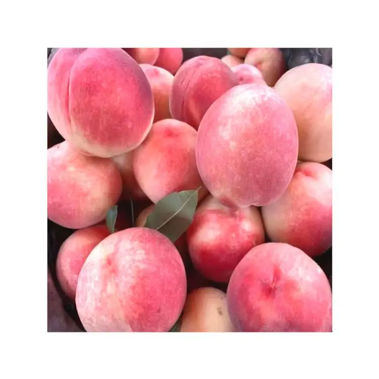 Автоматическая профессиональная фруктовая цена Пекин № 7 свежий