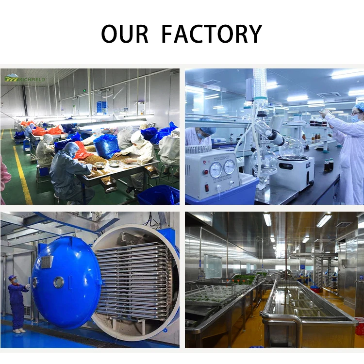 Wholesale Freeze Dried Cucumber Slice Dehydrated Green Vegetables Freeze Dried Cucumber