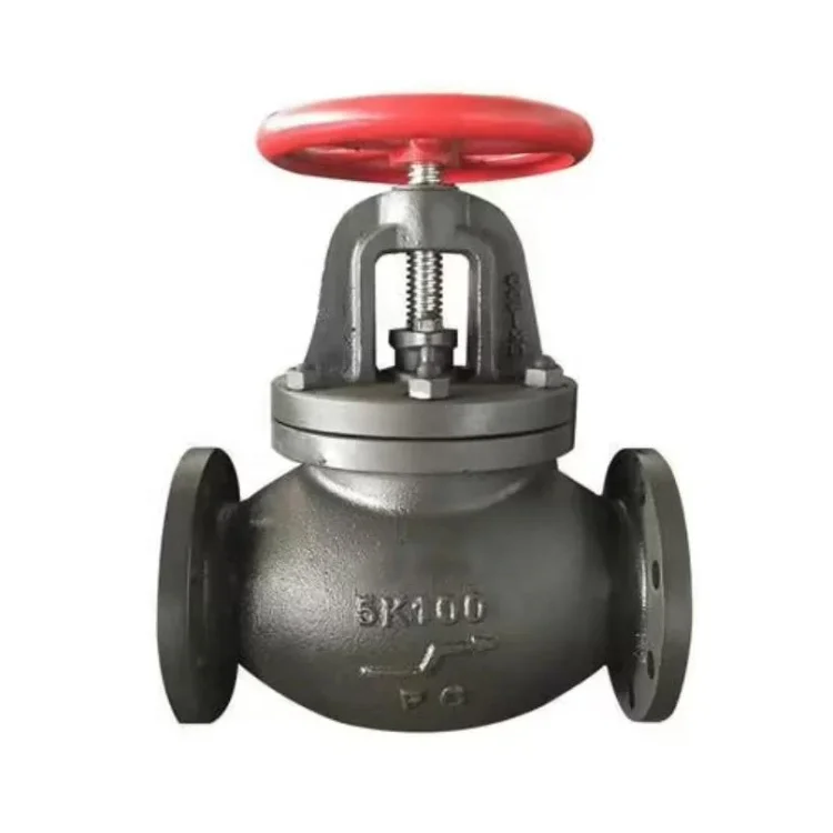 JIS 5K 10K Cast Iron Stainless Steel Marine 5K100 5K50 Screw-Down Check Globe Valve